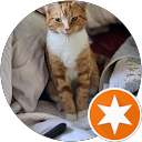 Shelley Acevedo profile picture