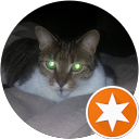 Jay Regan profile picture