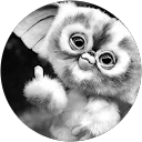 Kendall Williams profile picture