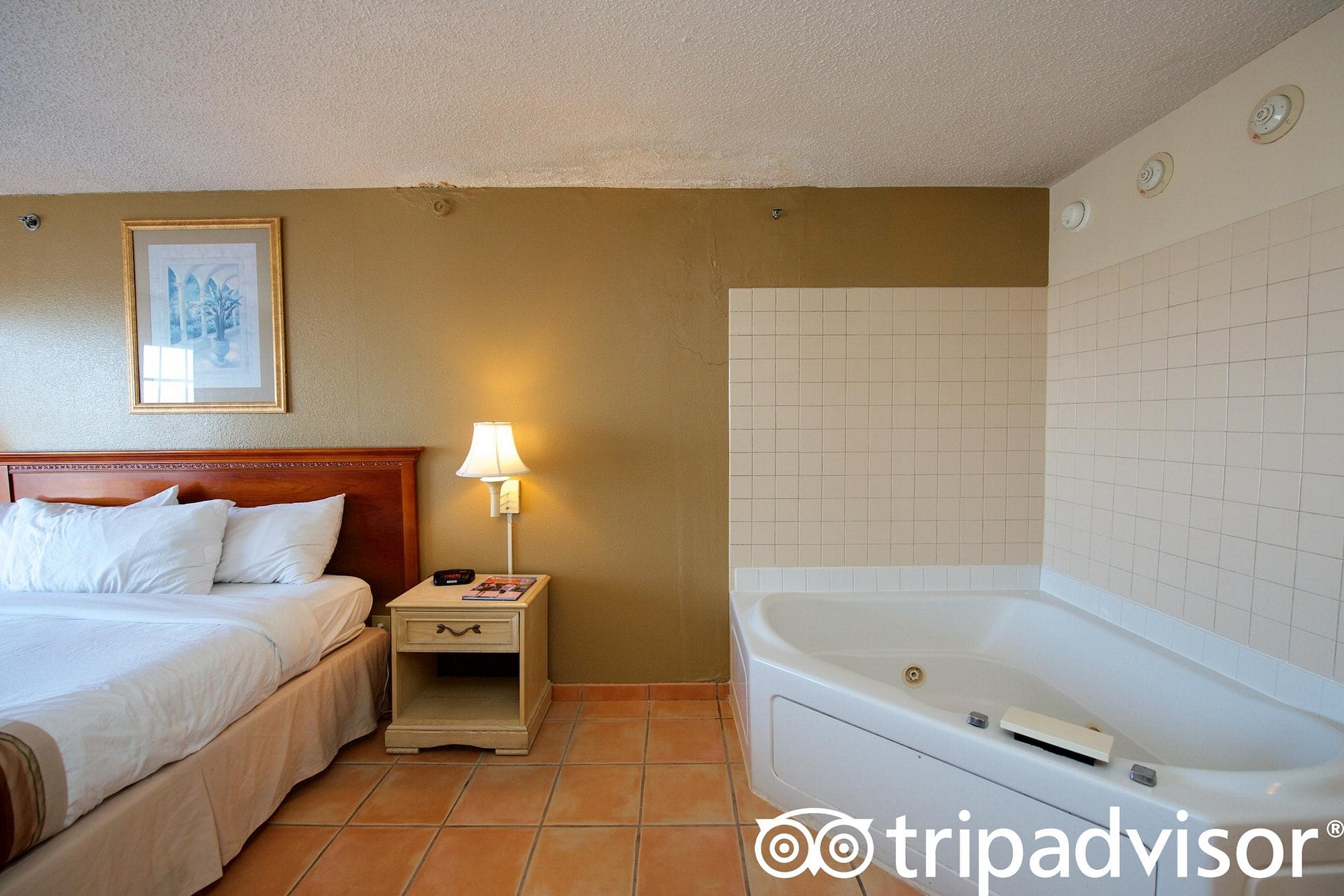 Paradise Plaza Inn Paradise Plaza Inn